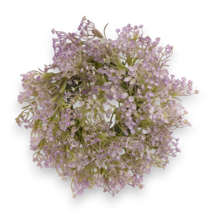 CORONA GISOFILA LAVANDER